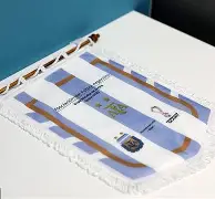 开云-疯狂的奥兰多