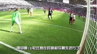 开云-多特蒙德的主场叫什么